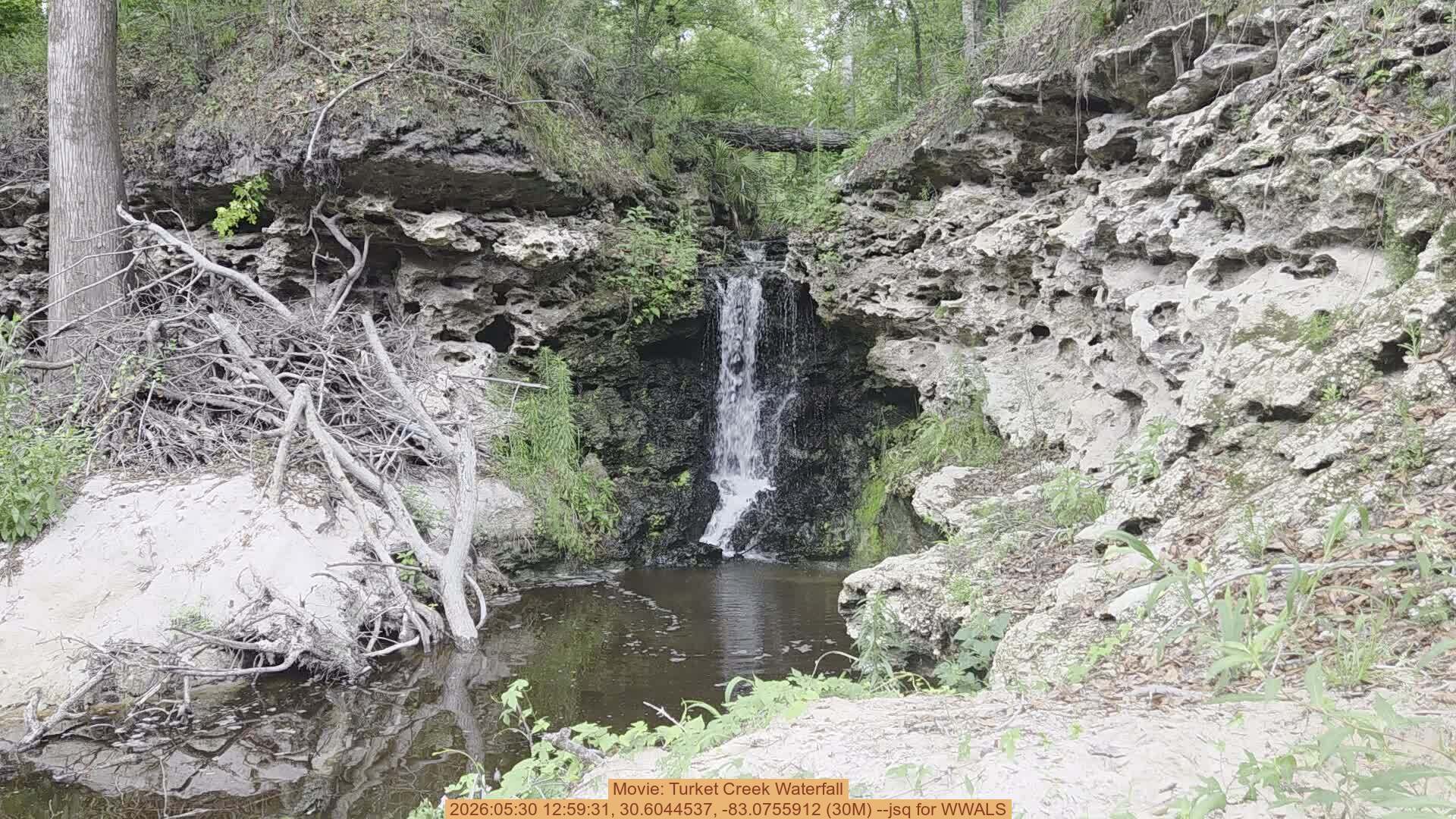 Movie: Turket Creek Waterfall, 2026:05:30 12:59:31, 30.6044537, -83.0755912 (30M) --jsq for WWALS