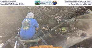 [Chainsaw Cleanup, Withlacoochee River 2026-06-07, Langdale Park, Sugar Creek, or Troupville, per water level]