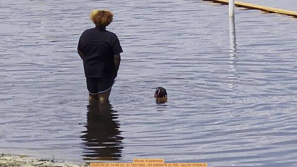 Movie: A swimmer, 2026:06:20 14:48:23, 31.1621069, -83.5480678 (2.7M) --jsq for WWALS