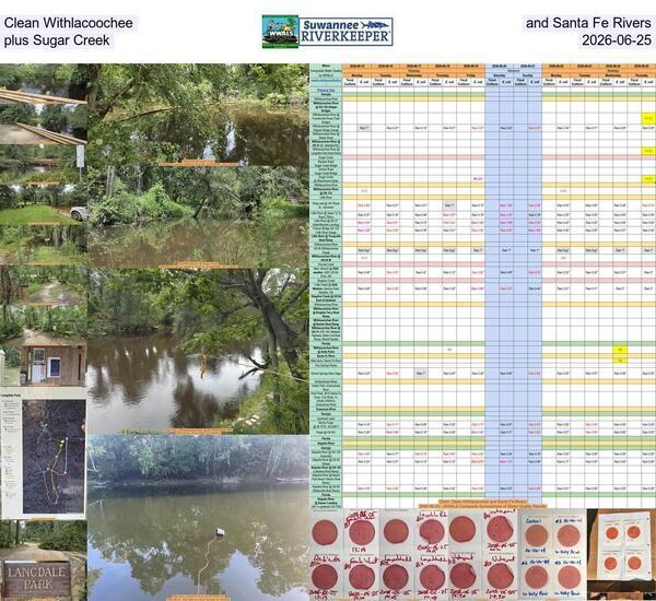 [Clean Withlacoochee and Santa Fe Rivers, plus Sugar Creek, 2026-06-25]