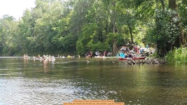 [Saturday crowd at Madison Blue Spring, 2017-06-24 16:00:18 30.48115, -83.24359 --jsq for WWALS]