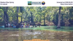 [Madison Blue Spring browned out 2026-06-26, It's natural, Many times before]