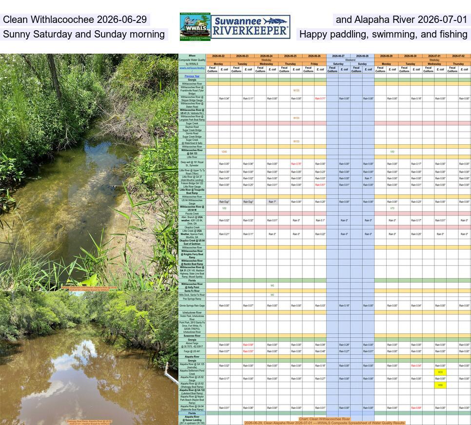Clean Withlacoochee 2026-06-29, and Alapaha River 2026-07-01, Sunny Saturday and Sunday morning, Happy paddling, swimming, and fishing