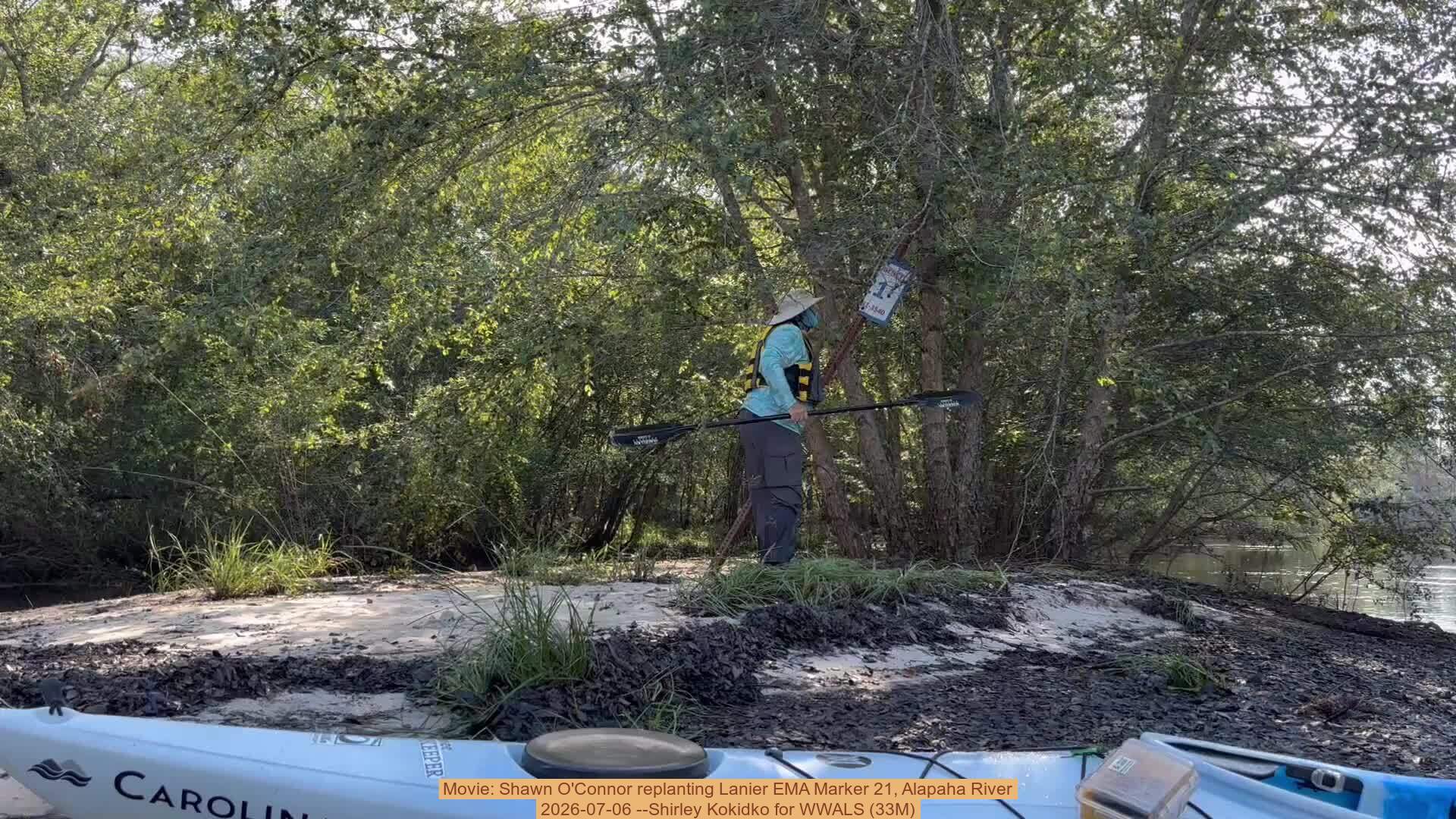 Movie: Shawn O'Connor replanting Lanier EMA Marker 21, Alapaha River, 2026-07-06 --Shirley Kokidko for WWALS (33M)