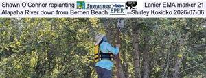[Shawn O'Connor replanting Lanier EMA marker 21, Alapaha River down from Berrien Beach, --Shirley Kokidko 2026-07-06]