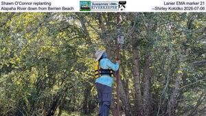 [Shawn O'Connor replanting Lanier EMA marker 21, Alapaha River down from Berrien Beach, --Shirley Kokidko 2026-07-06]