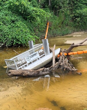 [Osprey, Sugar Creek, 2026-07-08 --Suzy Hall for WWALS]
