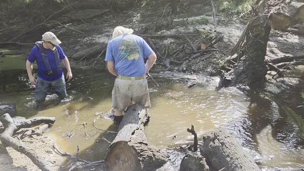 Movie: Phil Hubbard sawing first deadfall, Andrew Reinleib removing limbs, 2026:07:11 09:56:45, 30.8859488, -83.3245417 (32M)