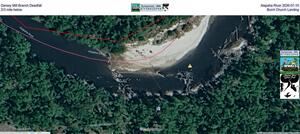 [Darsey Mill Branch Deadfall, Alapaha River 2026-07-15, 2/3 mile below Burnt Church Landing]