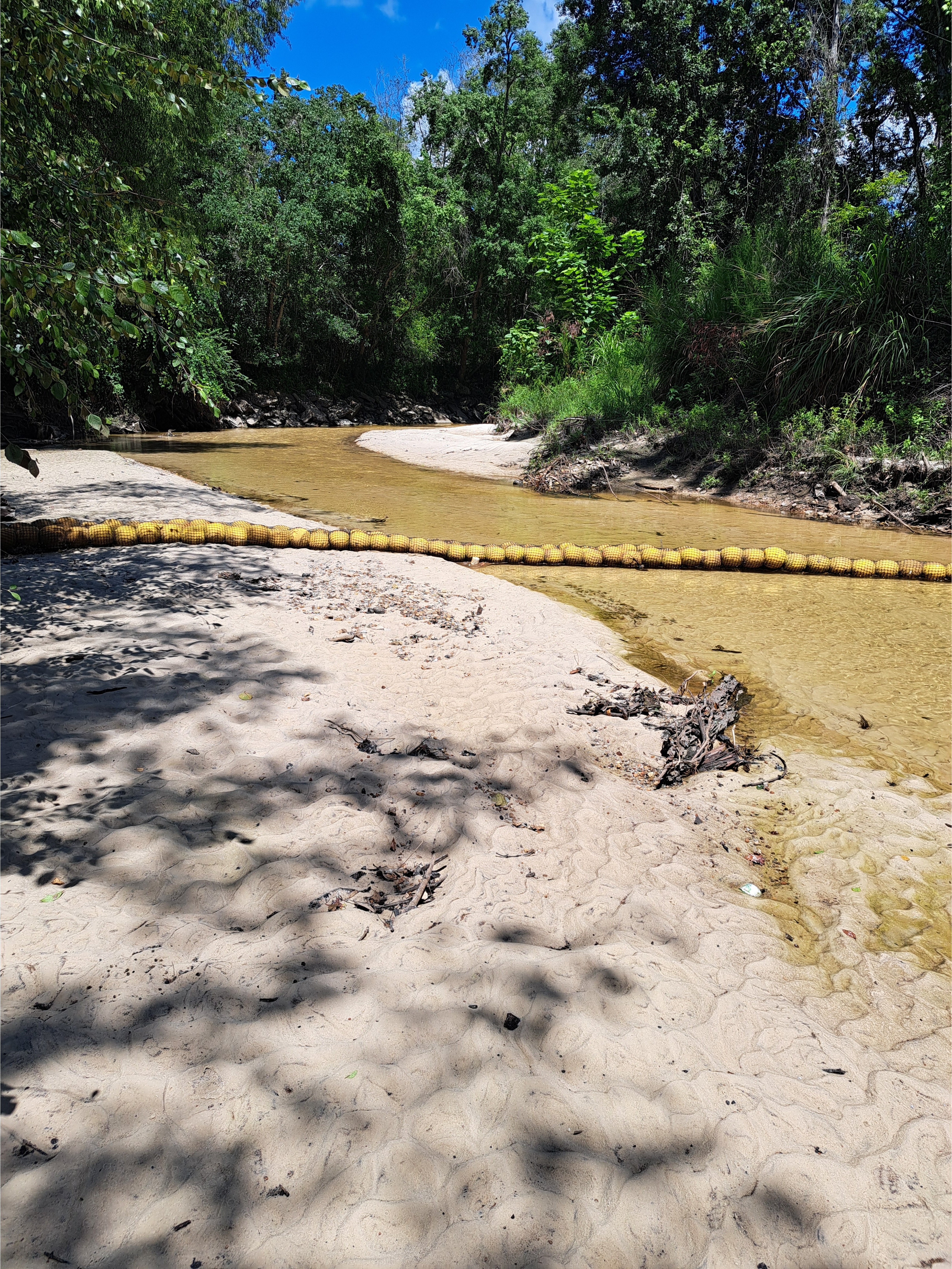 Sugar Creek @ WaterGoat 2026-07-15 --Suzy Hall for WWALS