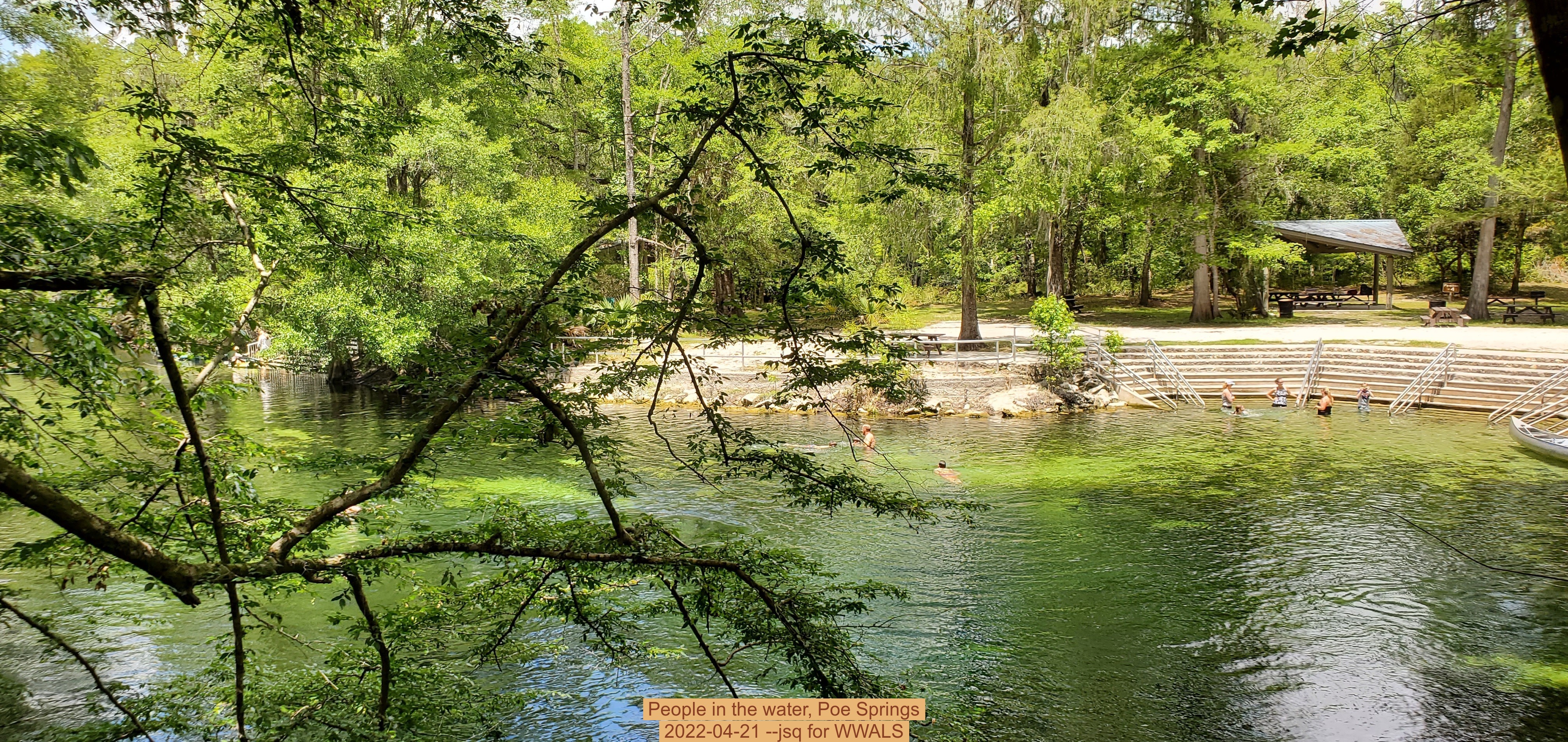 People in the water, Poe Springs, 2022-04-21 --jsq for WWALS