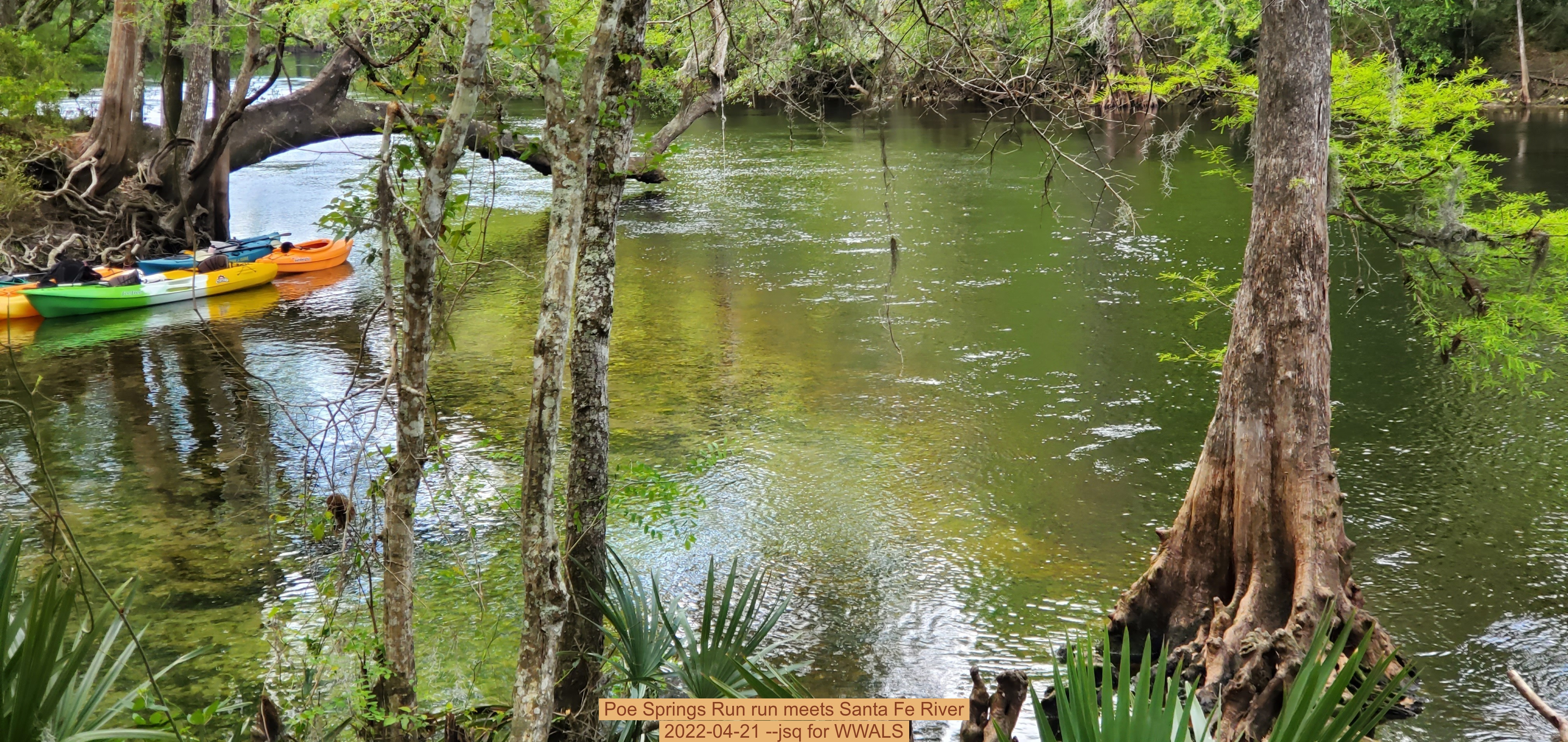Poe Springs Run run meets Santa Fe River, 2022-04-21 --jsq for WWALS