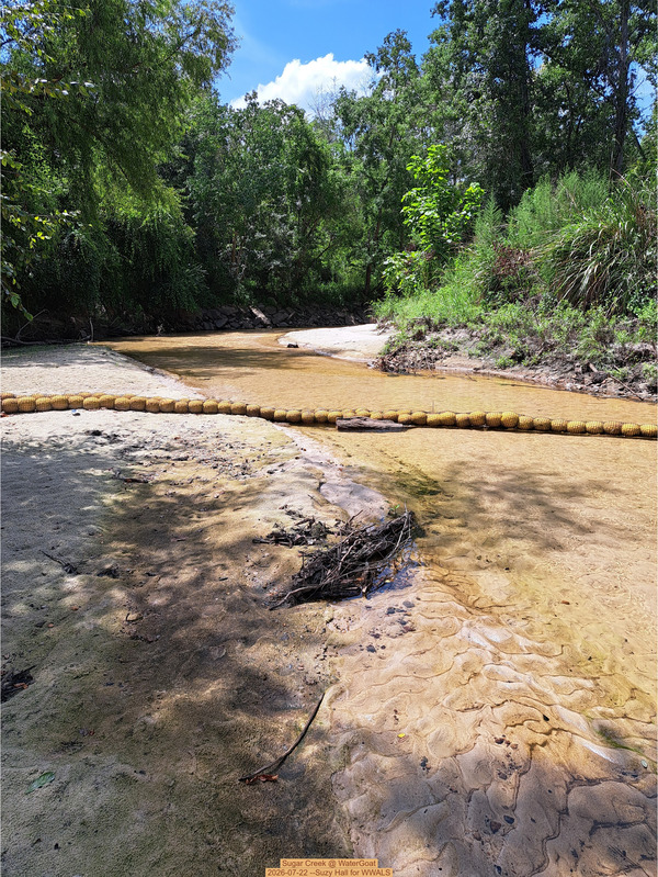[Sugar Creek @ WaterGoat 2026-07-22 --Suzy Hall for WWALS]