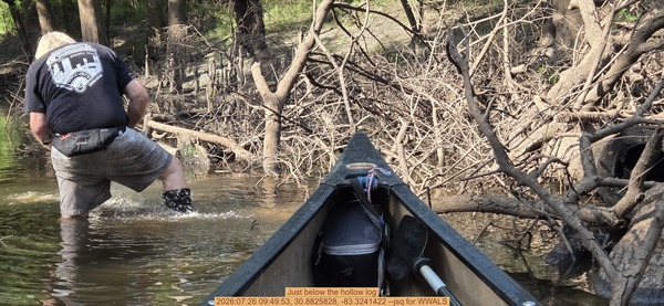 Just below the hollow log, 2026:07:26 09:49:53, 30.8825828, -83.3241422 --jsq for WWALS