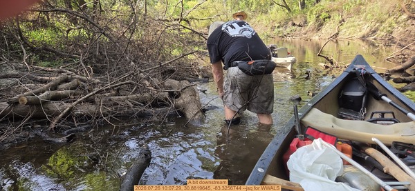 [A bit downstream, 2026:07:26 10:07:29, 30.8819645, -83.3256744 --jsq for WWALS]
