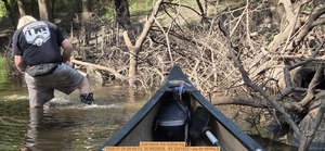 [Just below the hollow log, 2026:07:26 09:49:53, 30.8825828, -83.3241422 --jsq for WWALS]