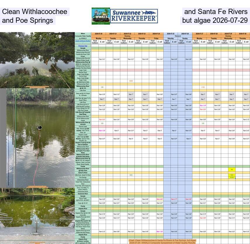 [Clean Withlacoochee and Santa Fe Rivers and Poe Springs, but algae 2026-07-29]