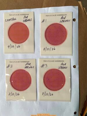 [Plates, Poe Springs 2026-07-29 --Bob Mills and Kurt Hurzeler for WWALS]