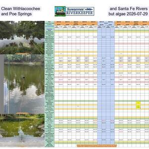 [Clean Withlacoochee and Santa Fe Rivers and Poe Springs, but algae 2026-07-29]