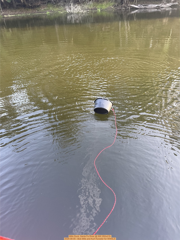 [Mills Dock, Santa Fe River @ NW 282nd Dr 2026-08-05 --Bob Mills and Kurt Hurzeler for WWALS]
