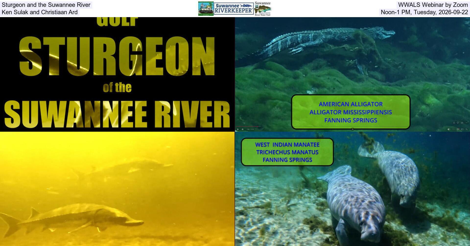 Sturgeon and the Suwannee River, WWALS Webinar by Zoom, Ken Sulak and Christiaan Ard, Noon-1 PM, Tuesday, 2026-09-22