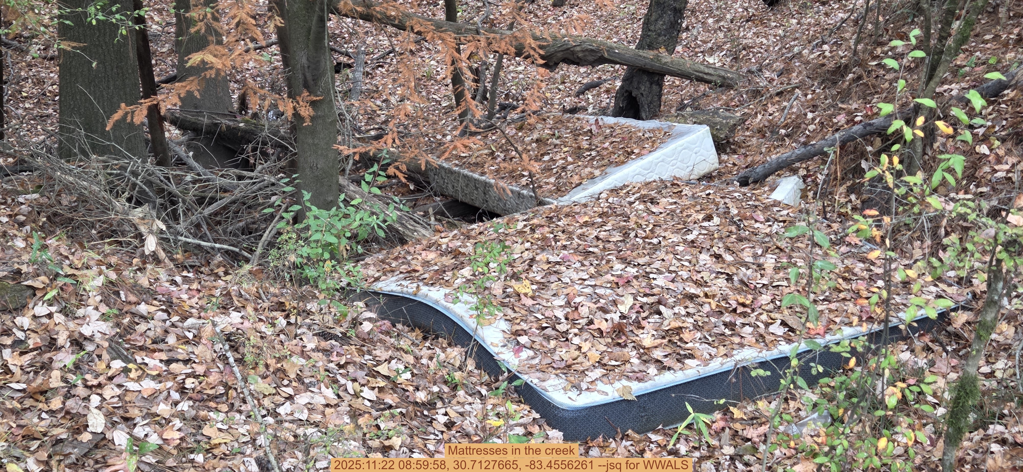 Mattresses in the creek, 2025:11:22 08:59:58, 30.7127665, -83.4556261 --jsq for WWALS