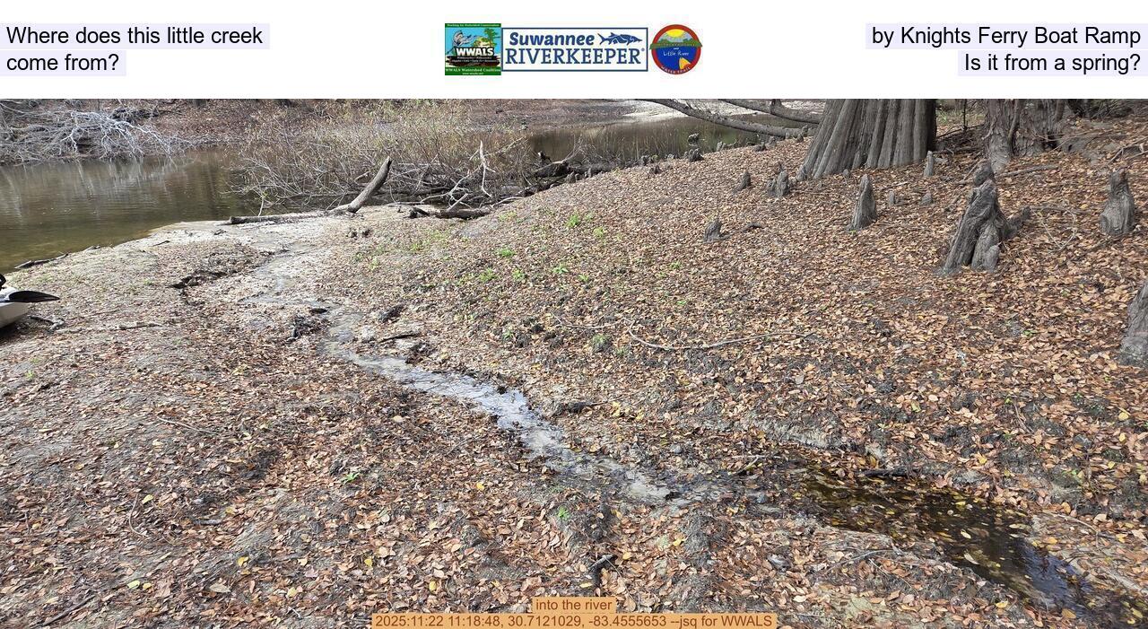 Where does this little creek by Knights Ferry Boat Ramp come from? Is it from a spring?