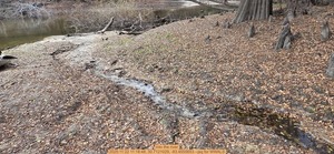 [into the river, 2025:11:22 11:18:48, 30.7121029, -83.4555653 --jsq for WWALS]