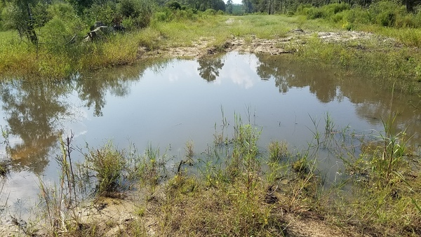 At sinkhole, Sinkhole