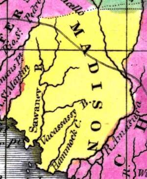 [Madison County, 1834, Hand colored map of Florida published in 1834 with inserts of Mobile Bay, Perdido and Pensacola Bays, and Espirito Santo Bay (including Tampa and Hillsboro Bays). Map Credit: Courtesy of the Special Collections Department, University of South Florida. Digitization provided by the USF Libraries Digitization Center. Well, whoever made this map was very confused, with “Sawaney R” way to the west (maybe labeling the Fenholloway River) and the Suwannee itself labeled “R. Amasura”.]