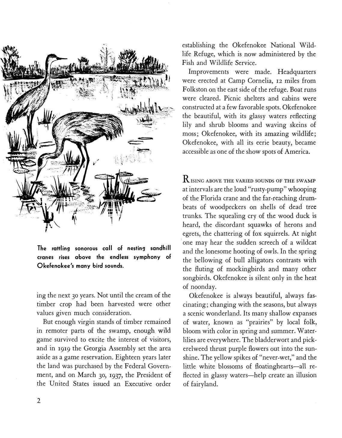 The rattling sonorous call of nesting sandhill cranes rises above the endless symphony of Okefenokee’s many bird sounds.