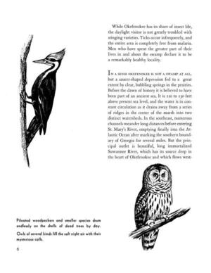 [Pileated woodpeckers and smaller species drum endlessly on the shells of dead trees by day. Owls of several kinds fill the soft night air with their mysterious calls.]