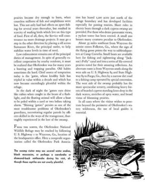 [The swamp visitor may see several water snakes, black moccasins, or perhaps a canebrake or diamond-back rattlesnake during his visit, although these reptiles are not overly plentiful.]