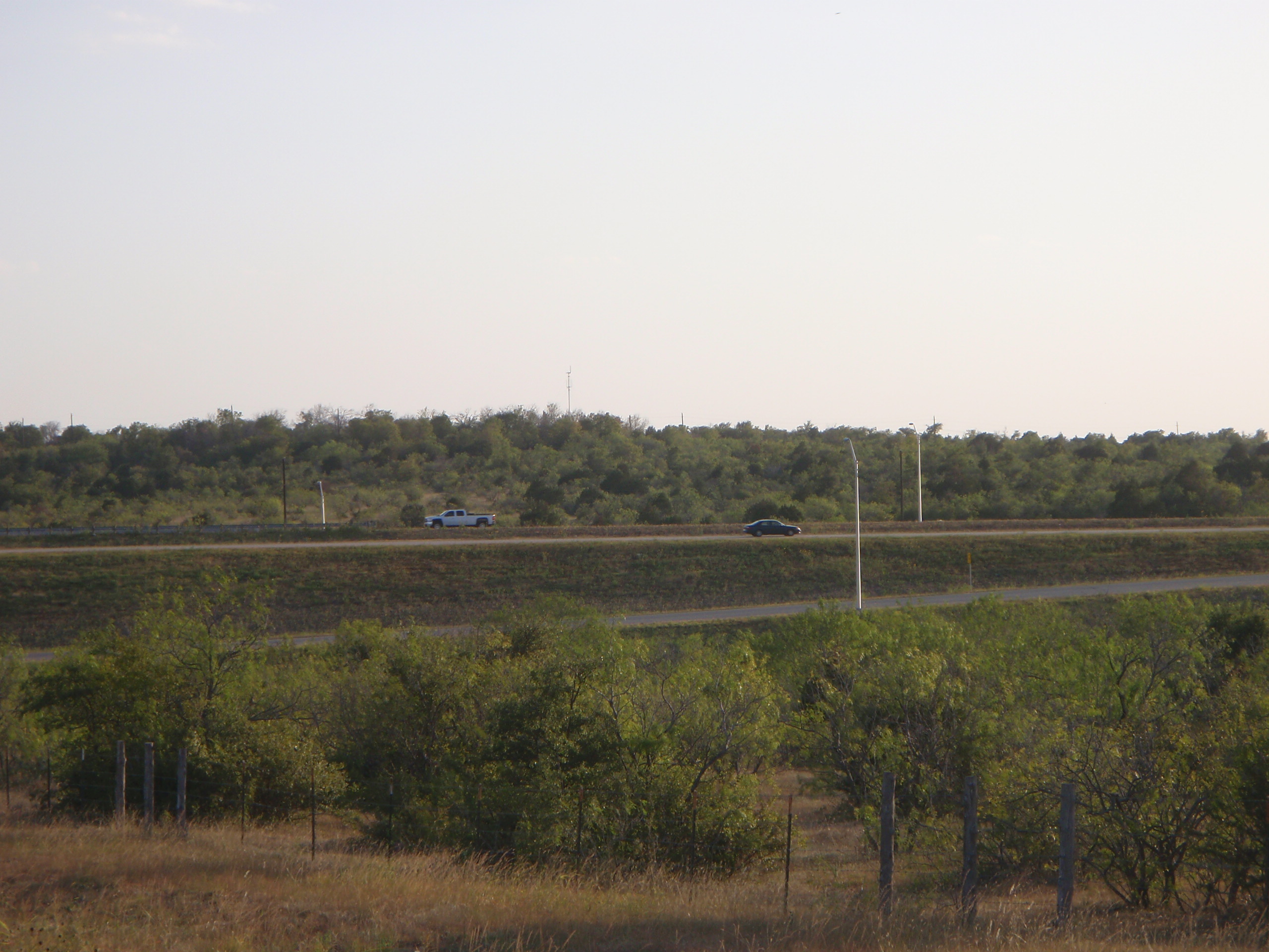 Traffic and light poles