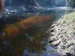 [Pool with two large sturgeon visible 2025-09-12 --Ken Sulak]