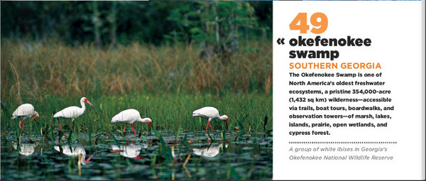 Detail of 49 Okefenokee Swamp in National Geographic