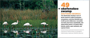 [Detail of 49 Okefenokee Swamp in National Geographic]