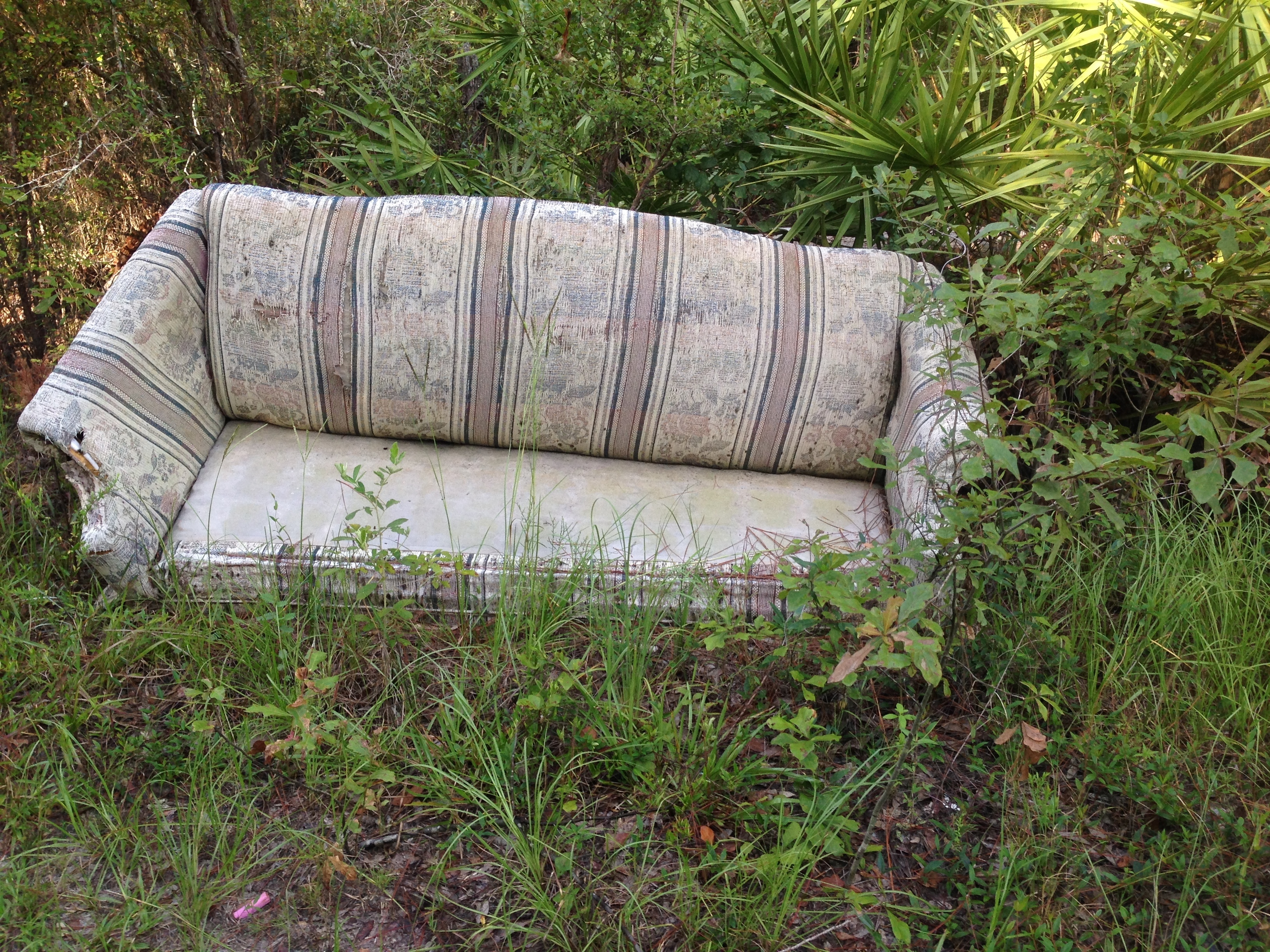 Sofa, --GQ C2 08:46:03, 31.0421528, -83.0446083