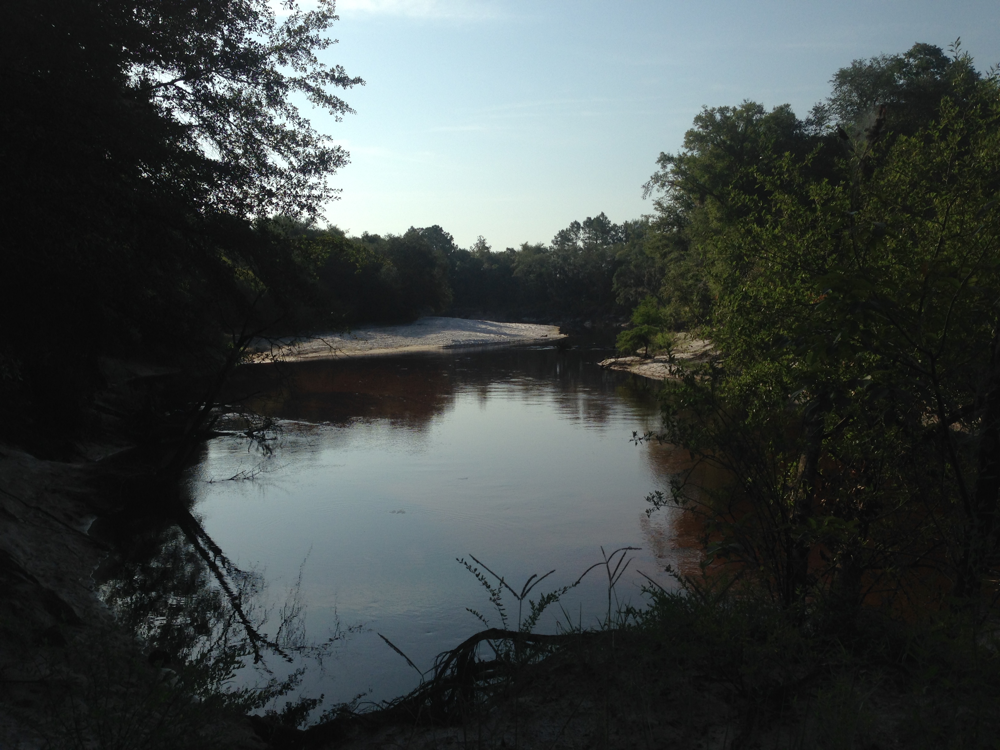 South access, Paffords Landing, Alapaha River, --GQ C2 08:48:35, 31.0421528, -83.0446083