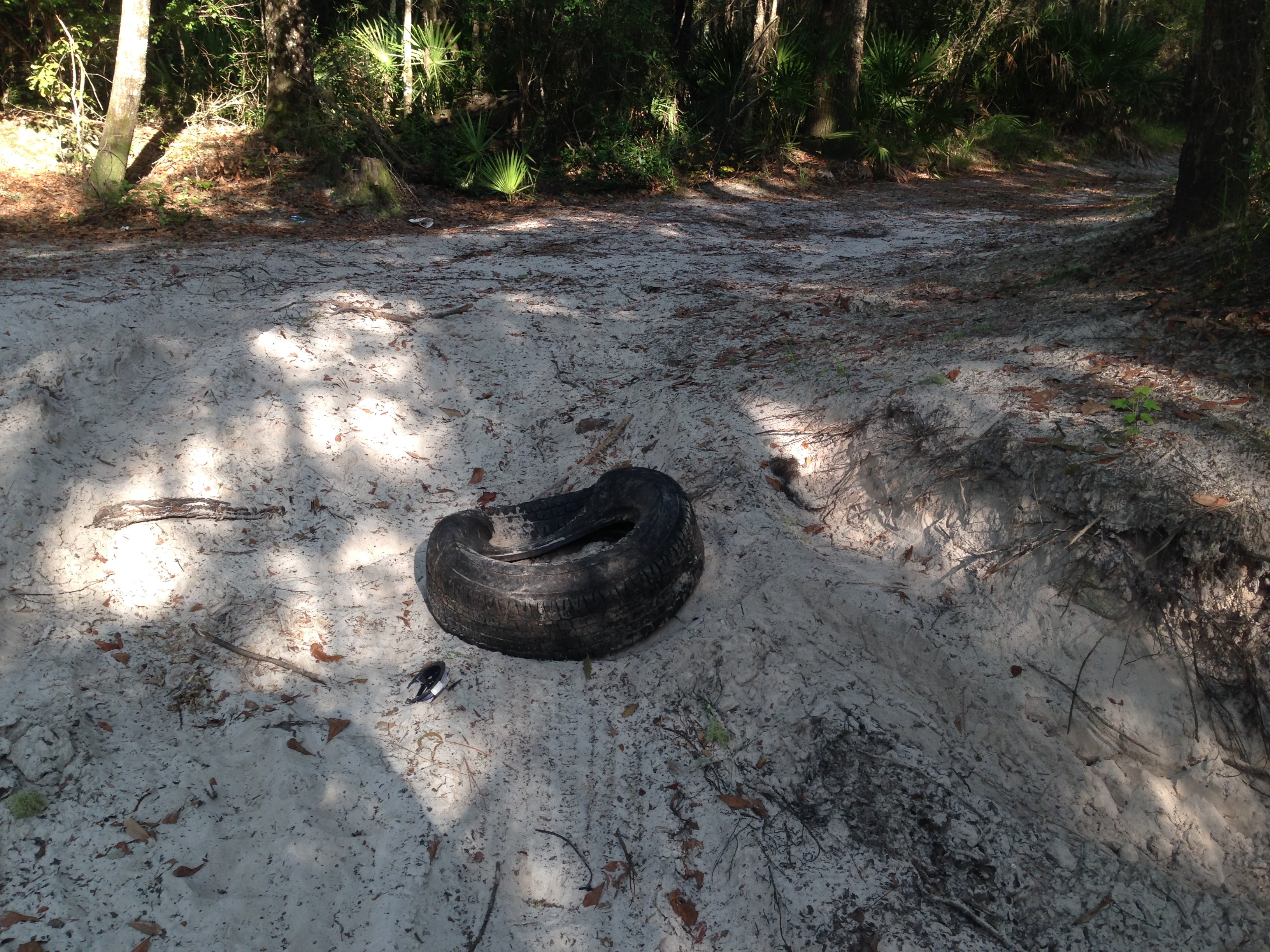 Tire, Paffords Landing, --GQ C2 08:53:33, 31.0434222, -83.0432500