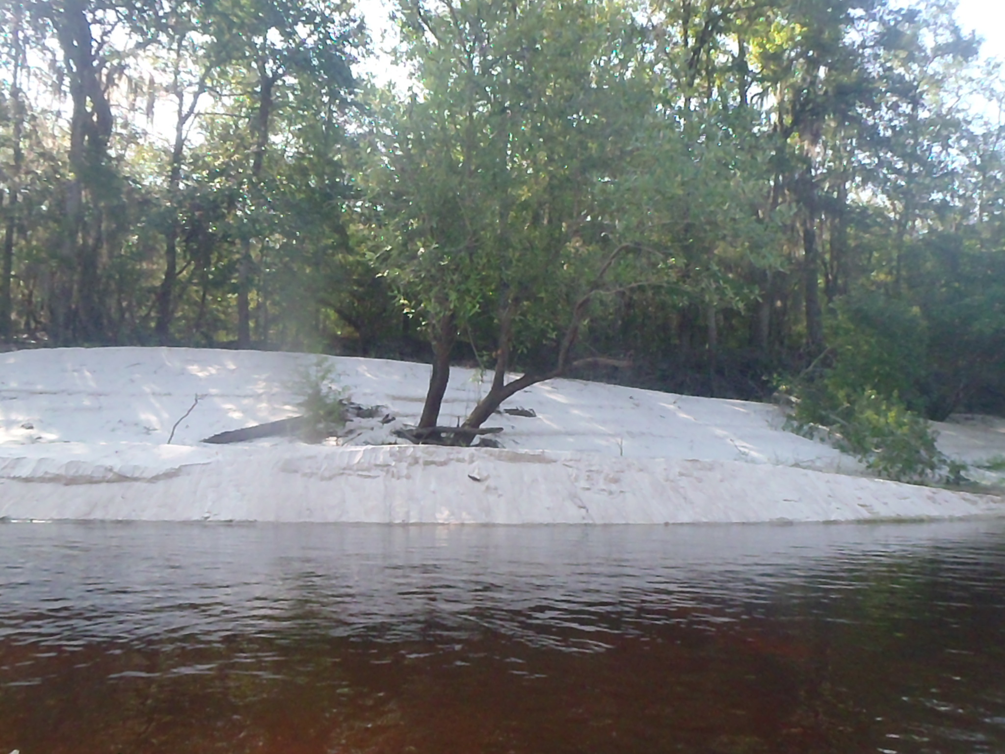 Beach with tree --GQ C1, 08:48:12