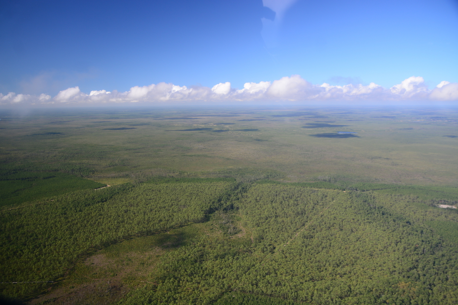 Coward Lake, Monkey Lake, Number One Island, 2019-10-05, 22:17:27, Photo: Wayne Morgan for Suwannee Riverkeeper on a Southwings flight