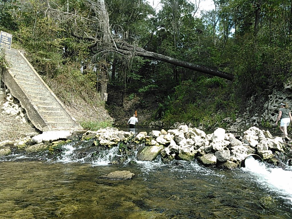 Hardee Spring dam 30.5446434, -83.2505264