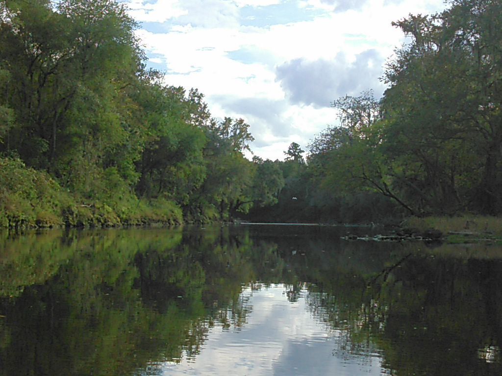 Green bank, white bird 30.4822121, -83.2433777