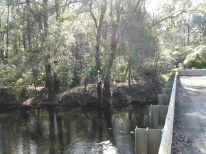 [Southeast bank from the bridge]