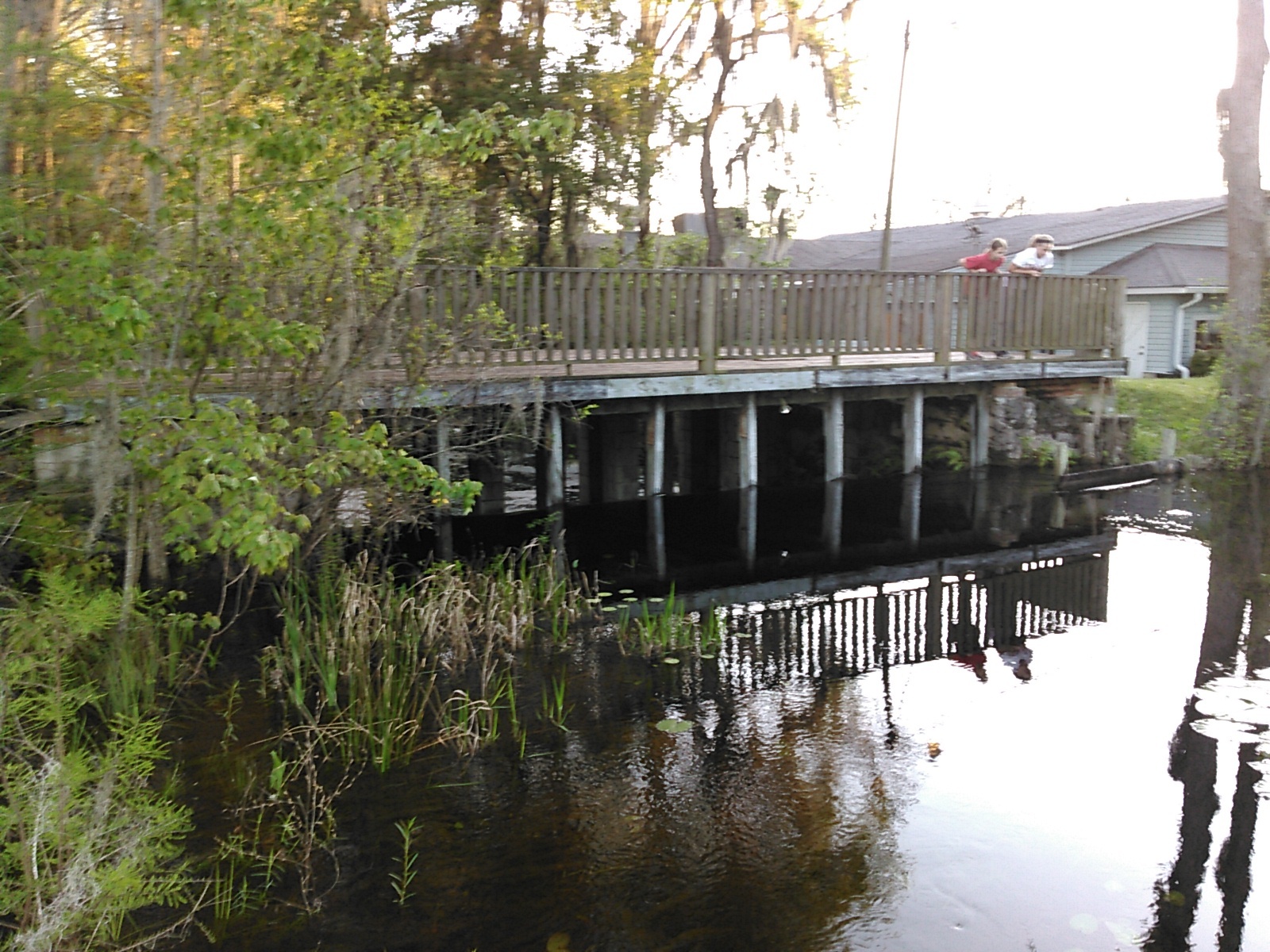 Ray's Mill Pond spillway