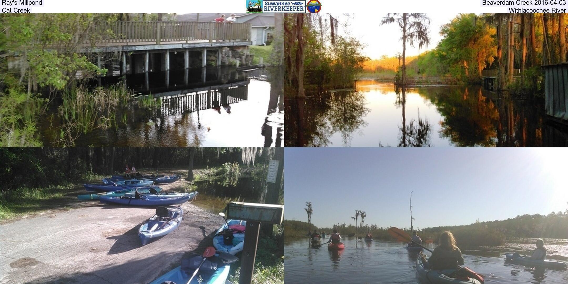 Ray's Millpond, Beaverdam Creek 2016-04-03, Cat Creek, Withlacoochee River