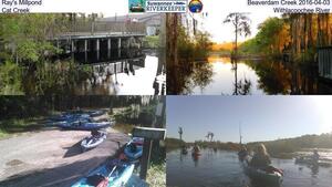 [Ray's Millpond, Beaverdam Creek 2016-04-03, Cat Creek, Withlacoochee River]