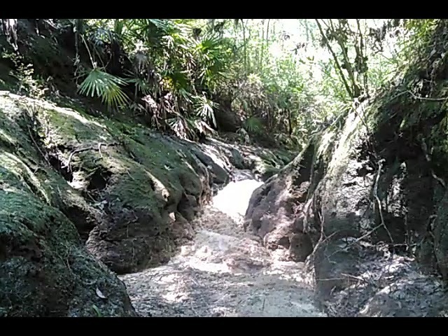 Heaving foam at Cow Creek