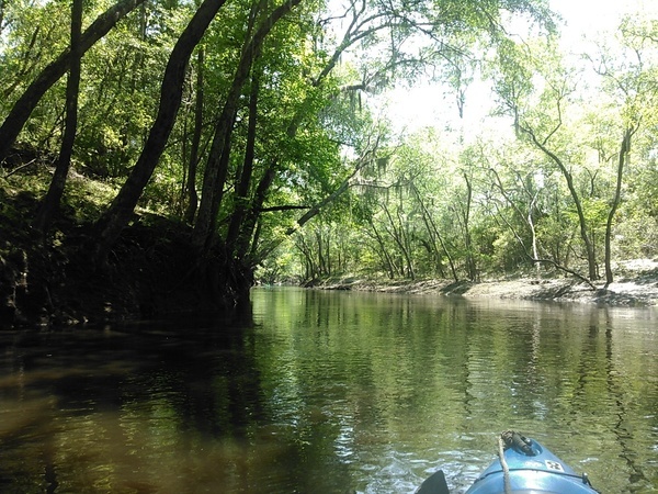 Paddlers around the bned, 13:59:23, 30.8460922, -83.0107651